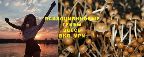 соль курить ск Михайловка