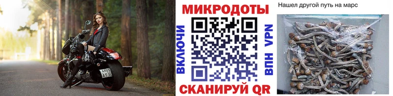 Купить где  Брянск  Псилоцибиновые грибы Psilocybine cubensis 